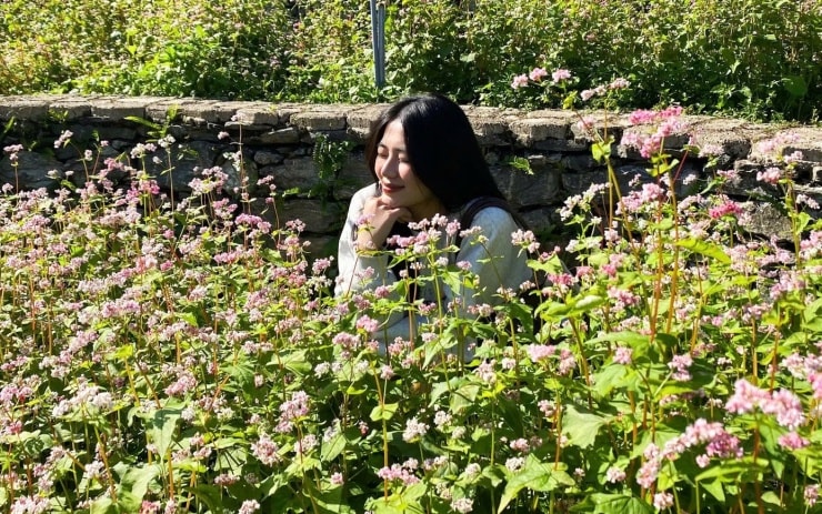 Gen Z rủ nhau lên núi săn mây, ngắm hoa tam giác mạch - 3