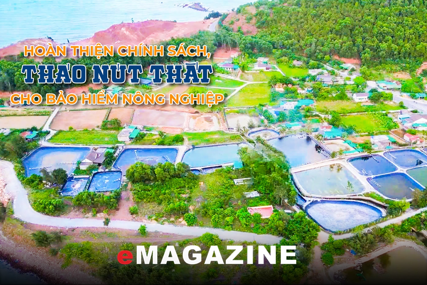 Hoàn thiện chính sách, tháo nút thắt cho bảo hiểm nông nghiệp - Bài cuối: Giải pháp kích hoạt bảo hiểm, bảo vệ 
