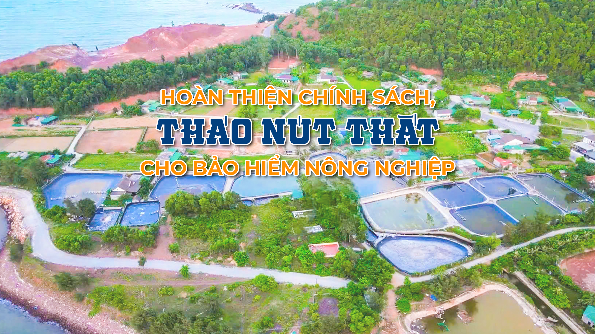 baohiemnongnghiep-b4-cover.png