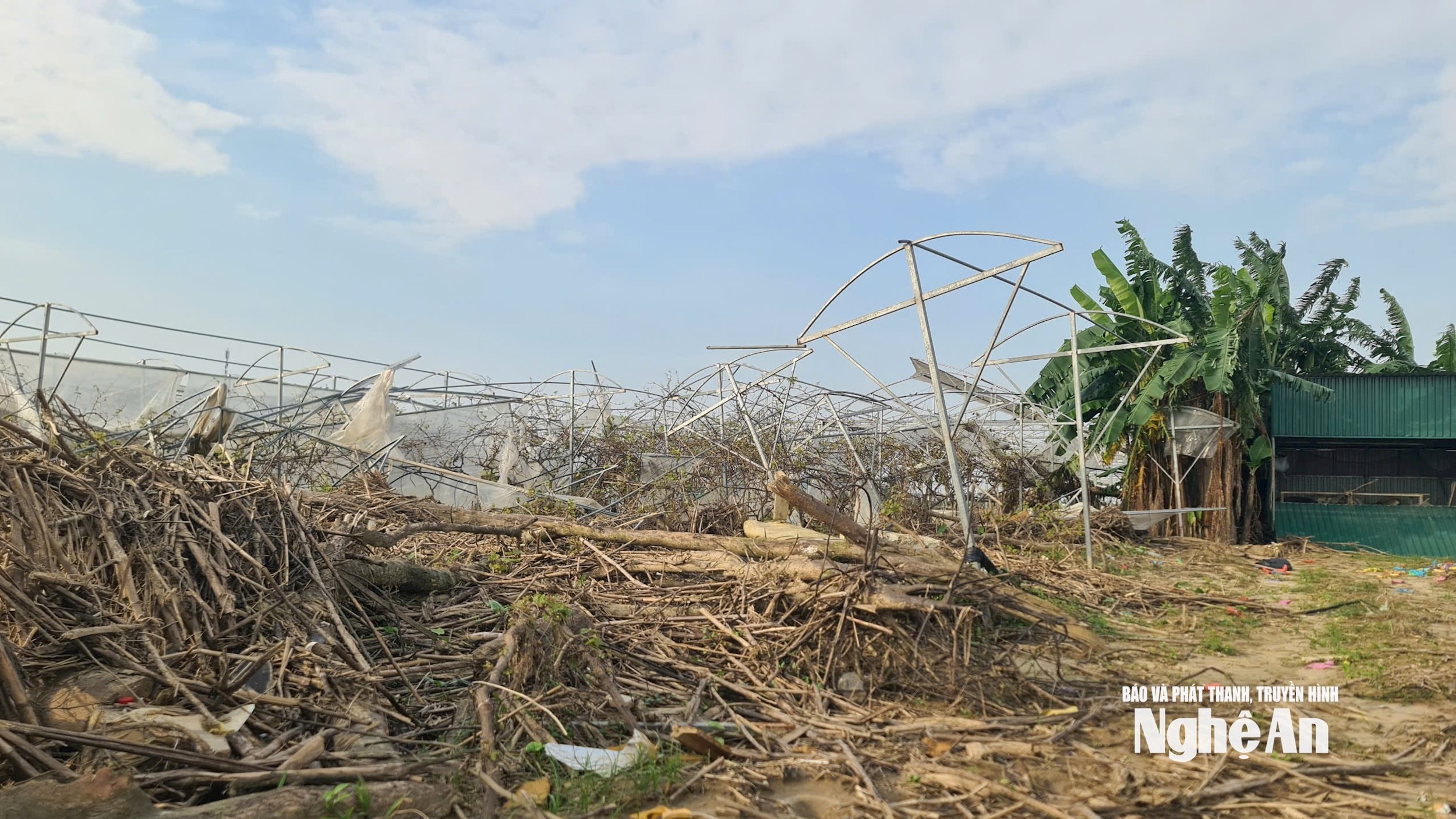 HTX nông nghiệp và Dịch vụ Phú Thịnh (xã Lam Thành) thiệt hại sau bão số 10. Ảnh Thu Huyền