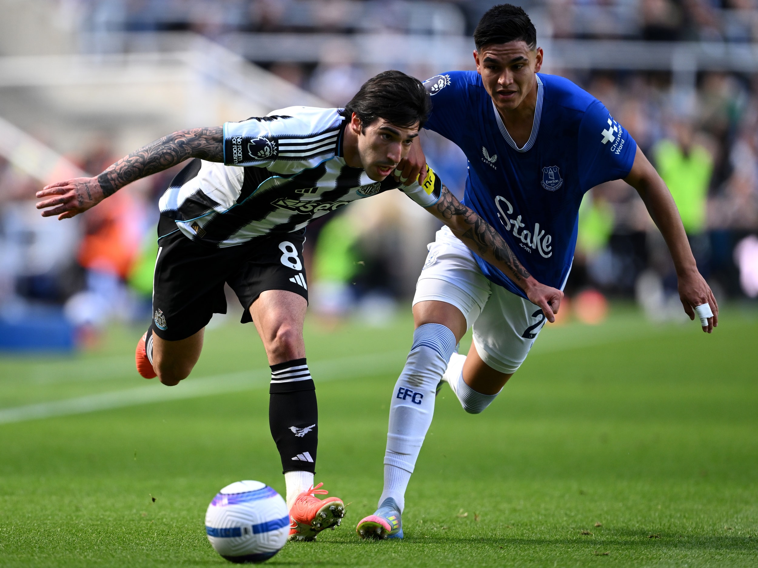 Newcastle United 0 Everton 1 - Newcastle United