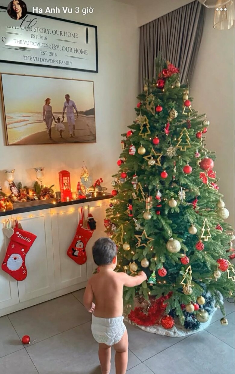Cậu nhóc Luca cũng háo hức không kém chị gái khi đứng trước cây thông.