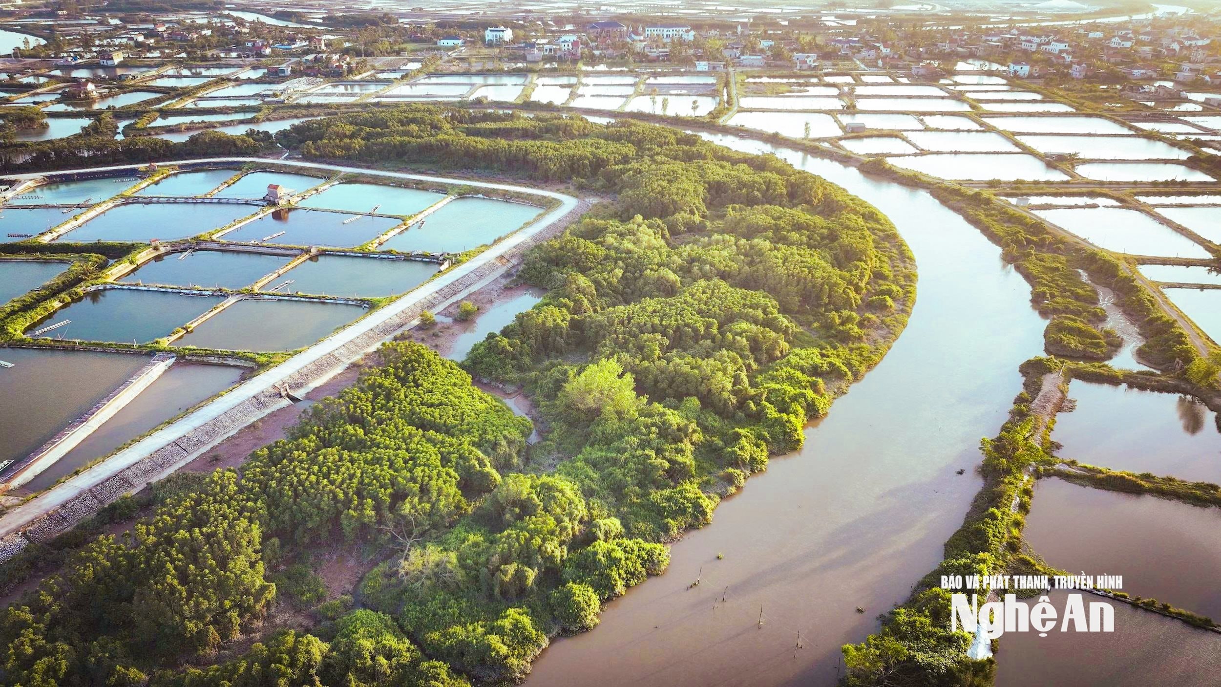 Vùng đồng tôm và rừng ngập mặn Quỳnh Thanh trong chiều 21-11-2025 không còn chim cò giả, lưới đánh bắt chim trời. Ảnh Võ Hải