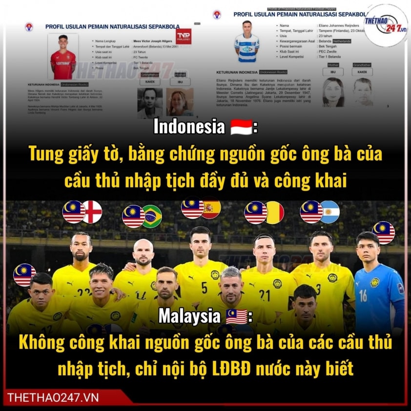 LĐBĐ Malaysia kiện ngược 7 cầu thủ nhập tịch 750837