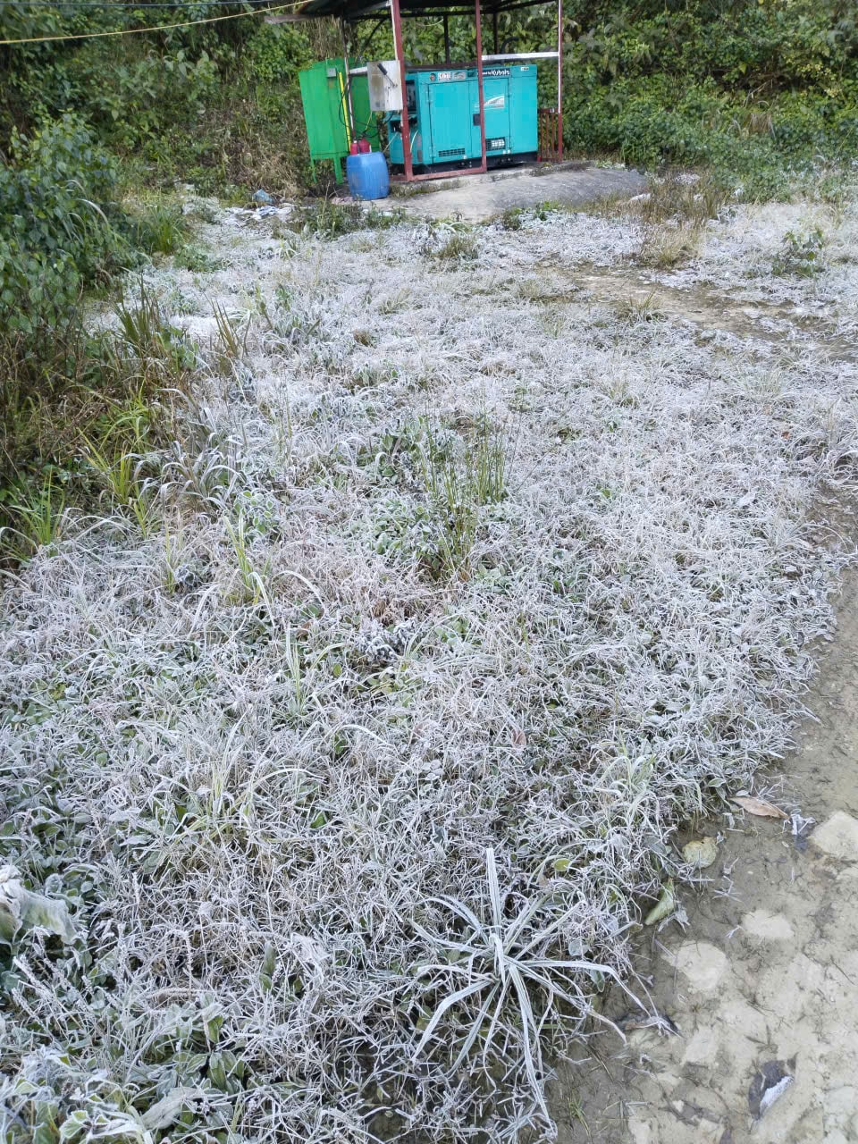 បងប្អូន ៣ (១)