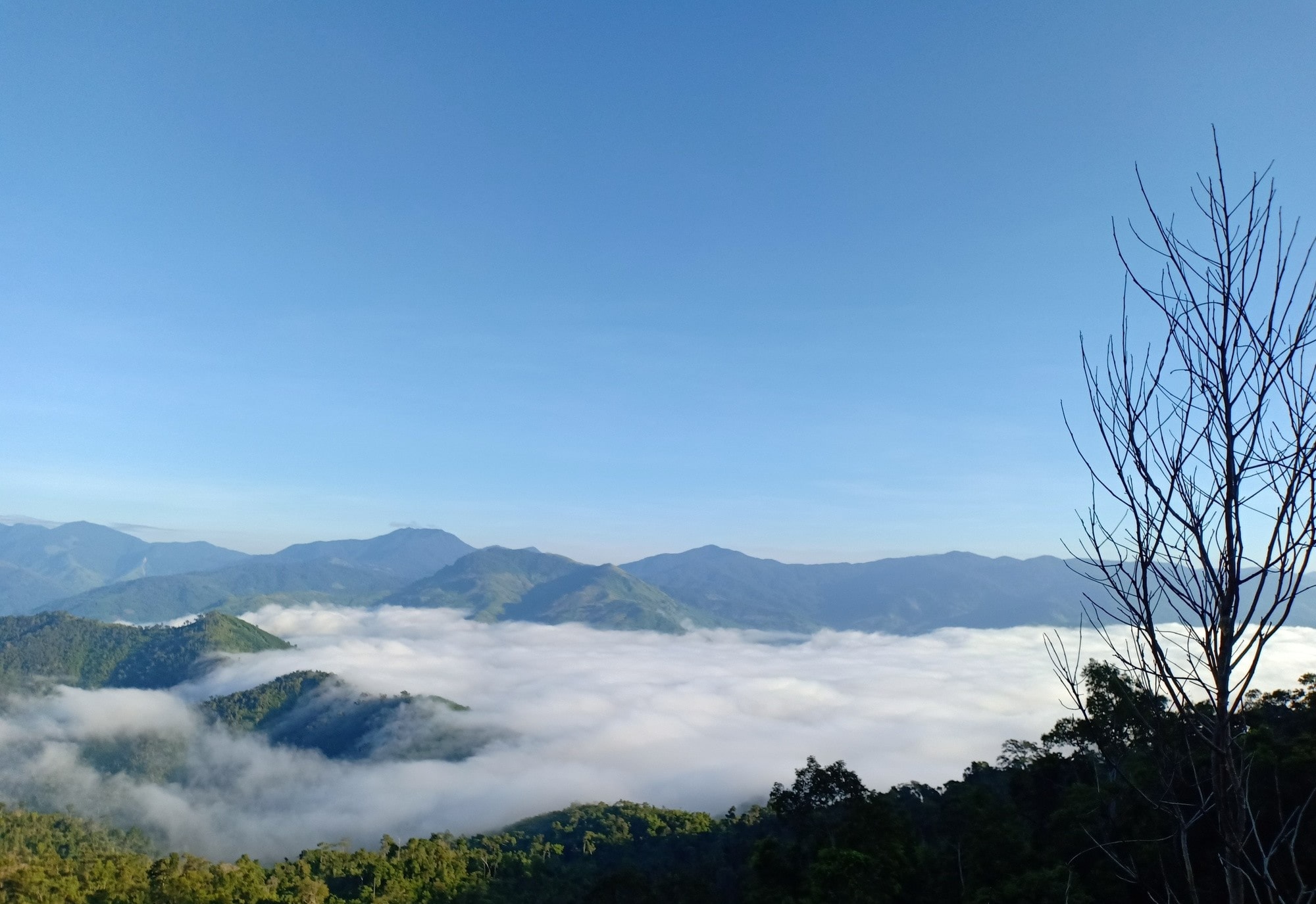 săn mây ở vườn quốc gia Phước Bình