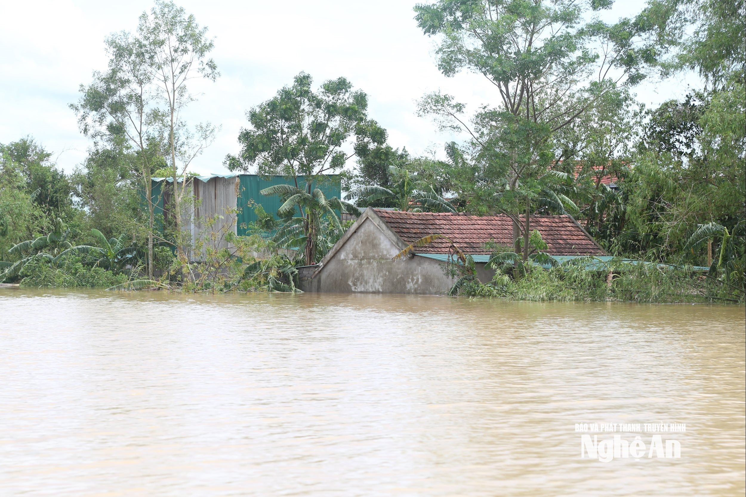 Khu dân cư của xã Bích Hào chìm trong nước lũ. Ảnh Xuân Hoàng