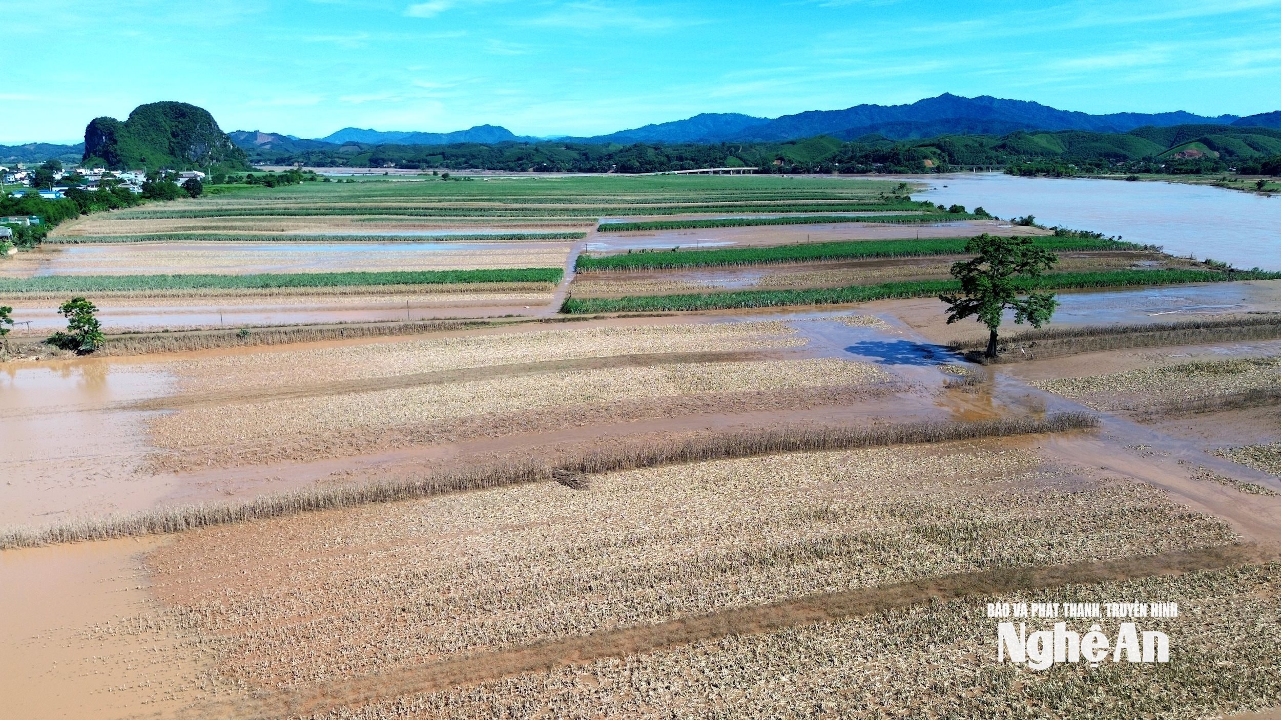 Vùng đất bãi ven sông Lam của xã Nhân Hòa sau trận lũ cuối tháng 7. Ảnh Xuân Hoàng