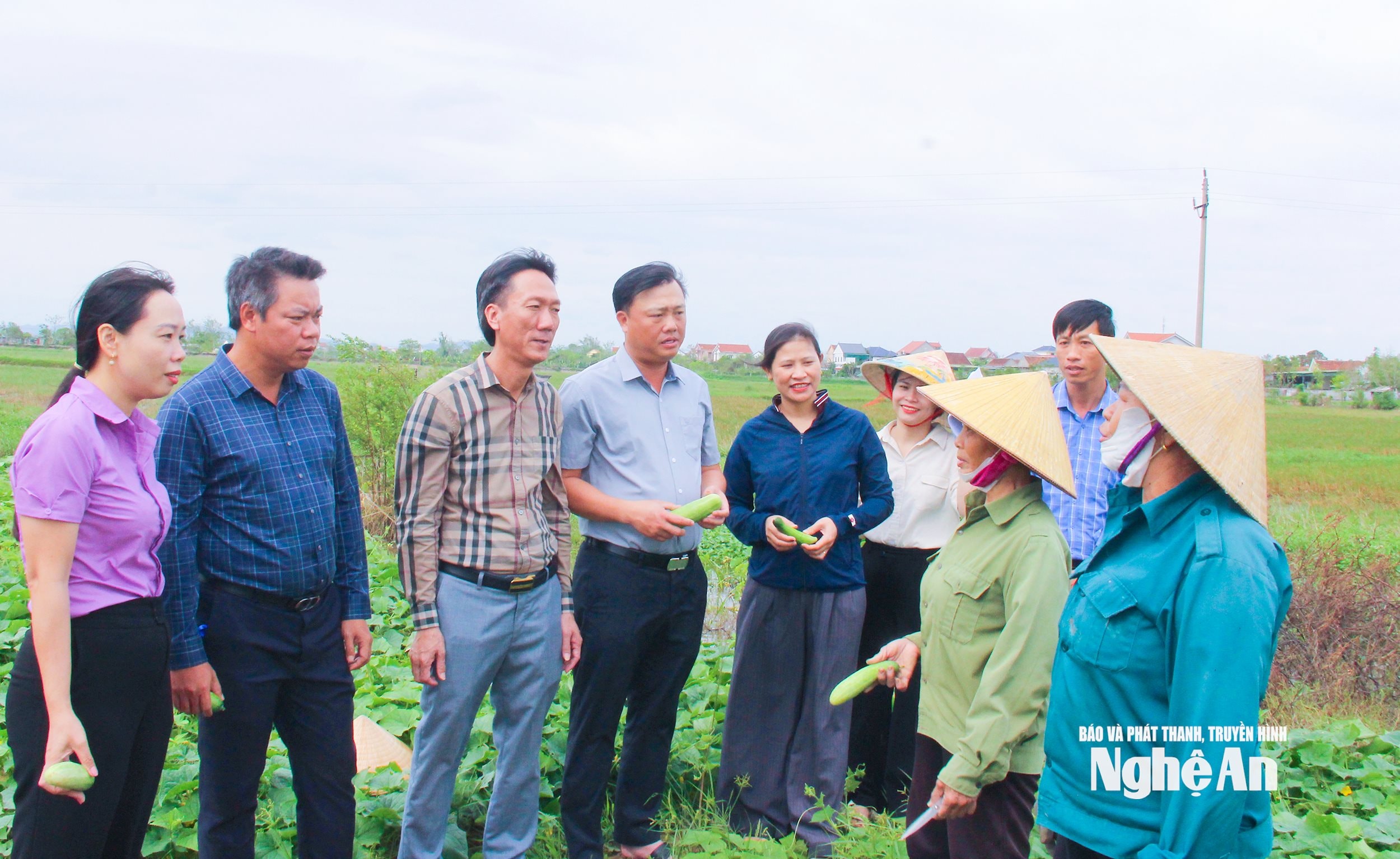  Cán bộ xã Hưng Nguyên Nam khảo sát mô hình trồng dưa chuôt ngồi vụ đông. 