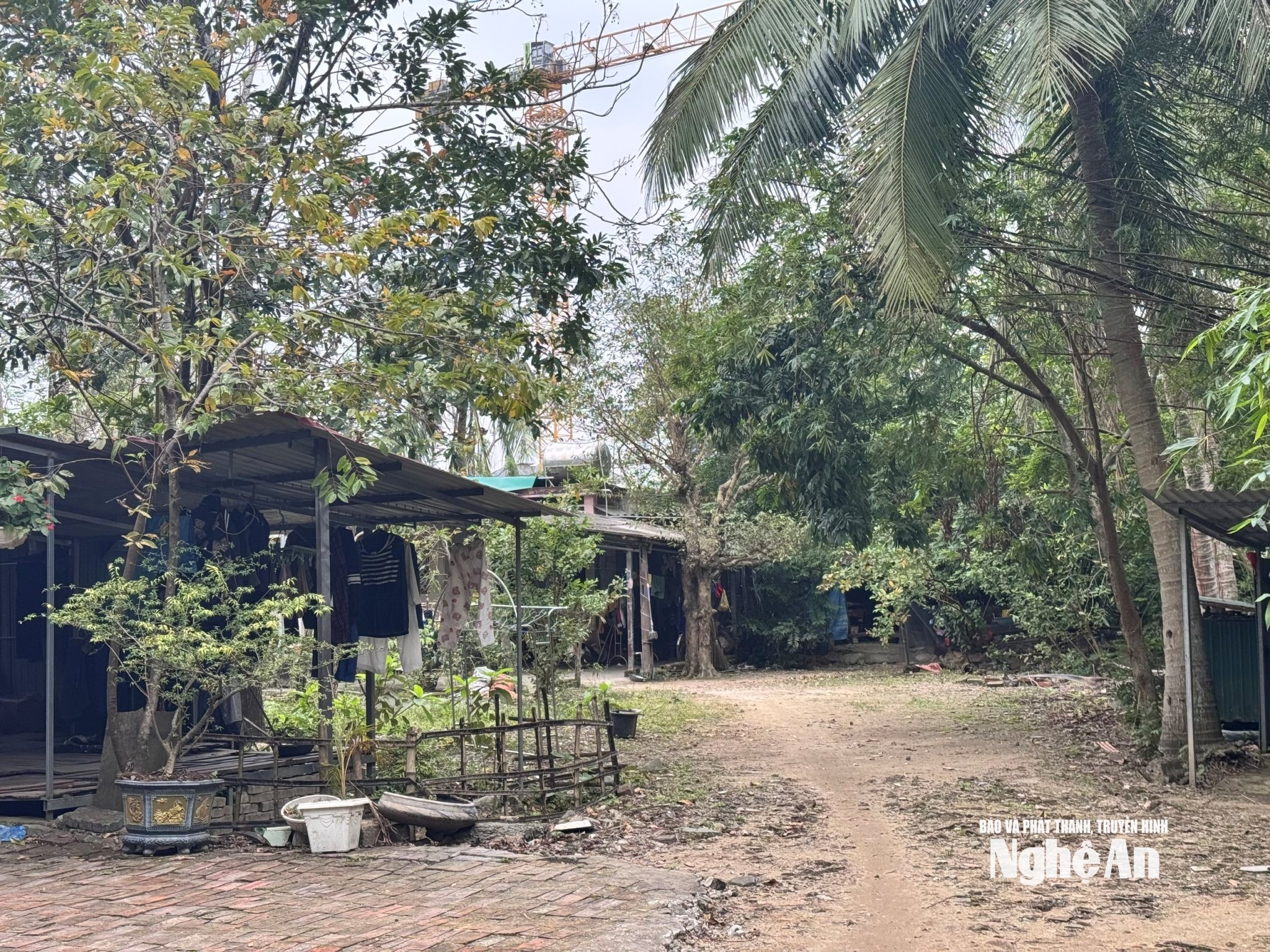Rumah Encik Tran Van Truong mempunyai 1,200 meter persegi dibahagikan kepada 2 rumah tingkat 4 untuk kediaman sementara. Foto: Nguyen Hai