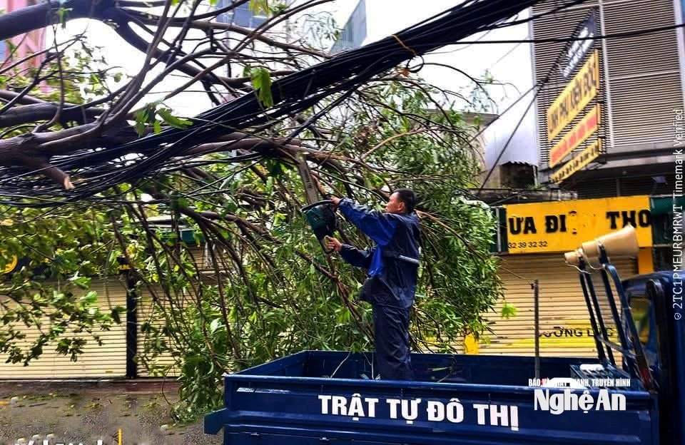 Bão số 10 gây thiệt hại tại Nghệ An. Ảnh Quang An