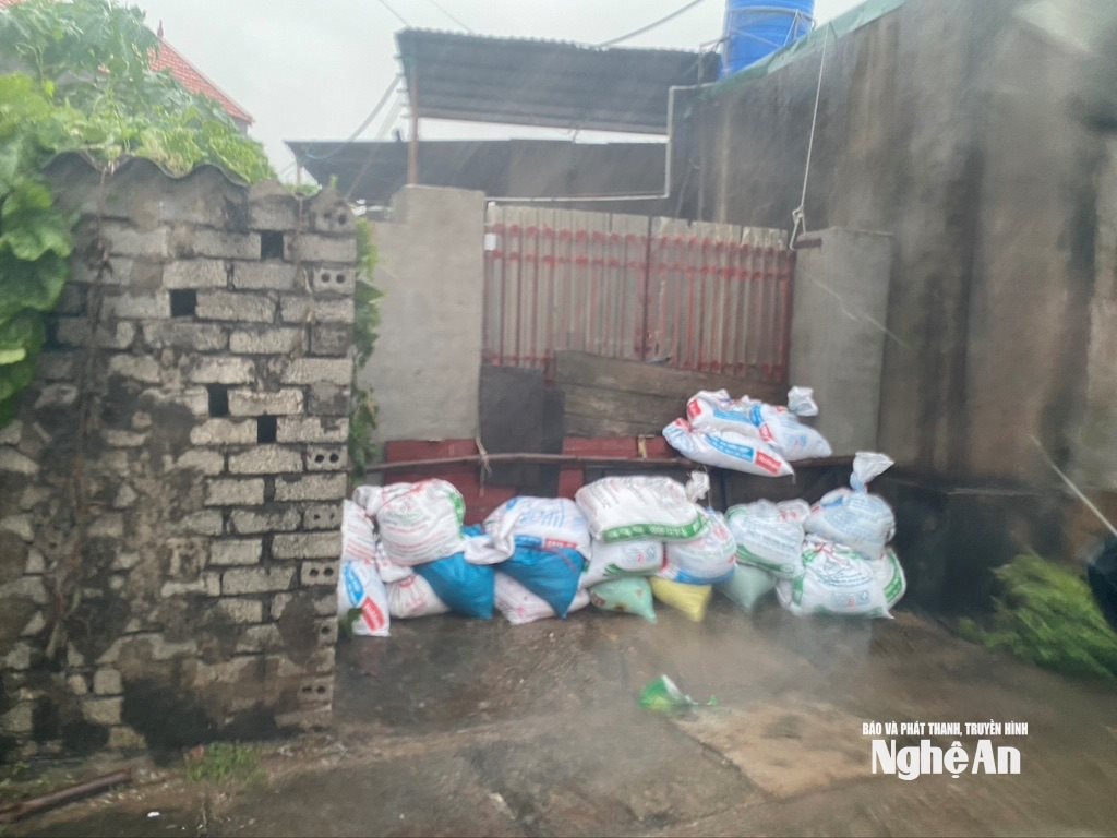 Các hộ dân ở ven đê biển xã Quỳnh Phú phải gia cố bao tải cát trước nhà. Ảnh Văn Trường