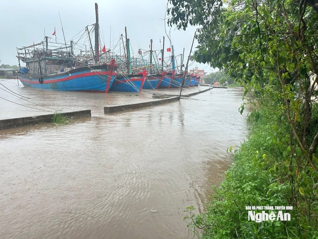 Đê biển ở xã Quỳnh Phú triều cường tràn qua mặt đê vào làng mạc. Ảnh Văn Trường