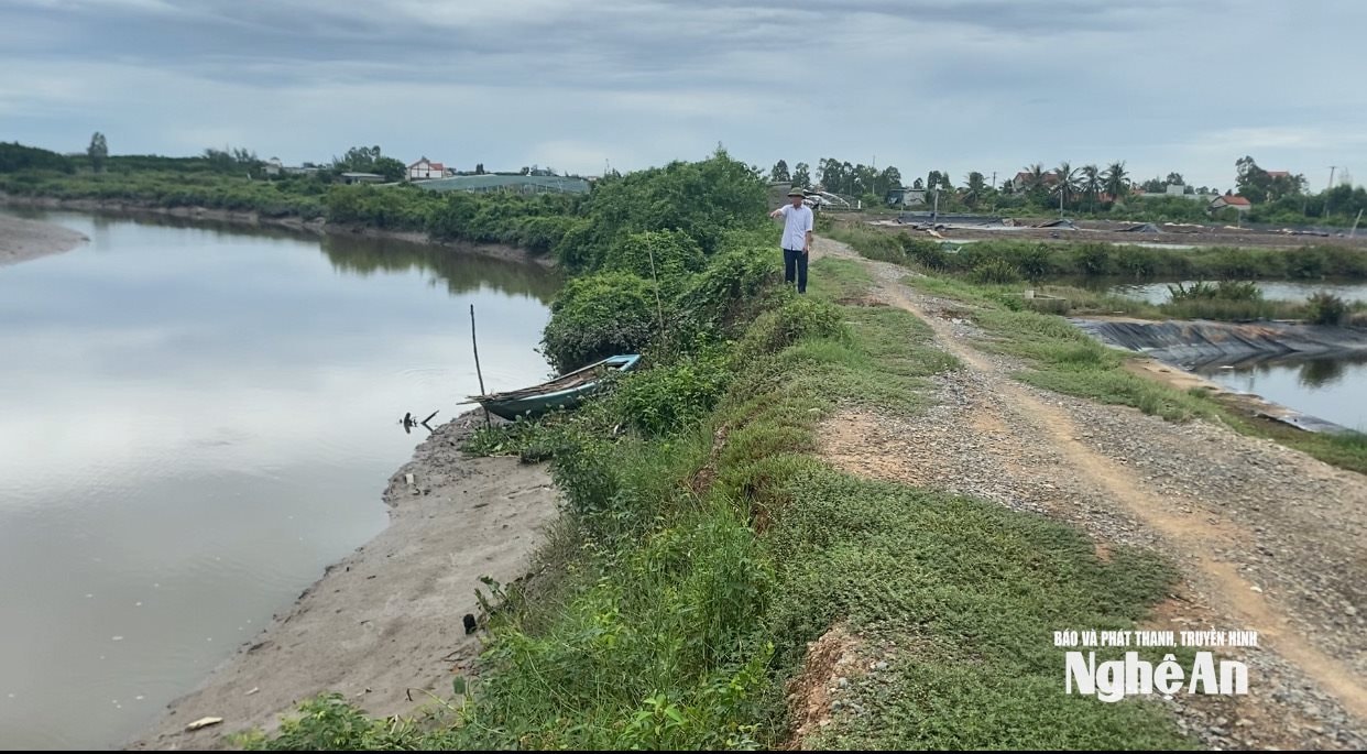 Đê sông Mơ ở xã Quỳnh Anh chủ yếu đắp bằng đất, hiện đã bị sạt lở nhiều vị trí. Ảnh Văn Trường