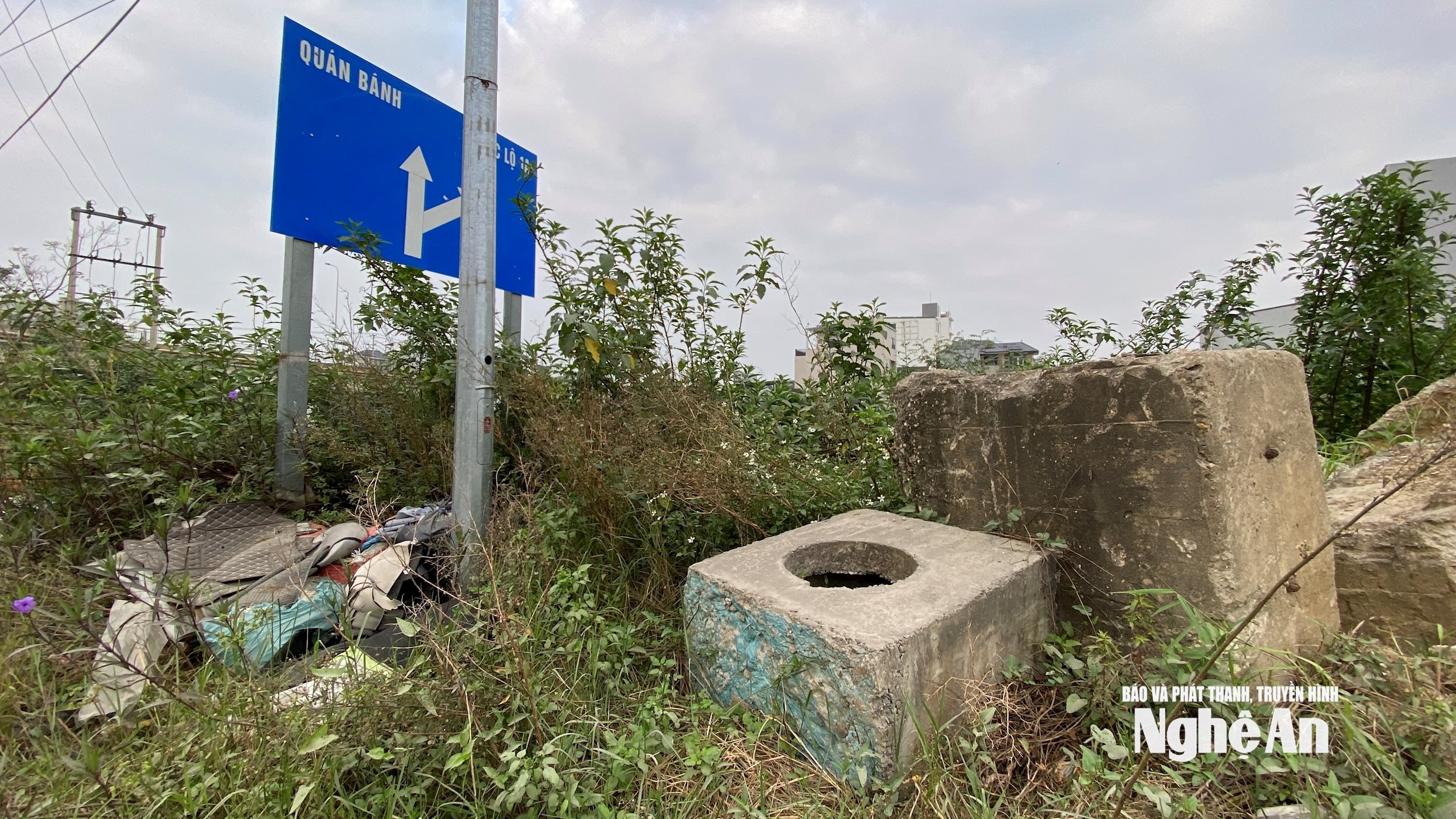 Lê Ninh10