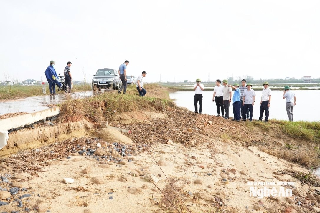 Trên tuyến đê Rào Đừng (phường Vinh Lộc) bị sạt lở sau bão. Ảnh Văn Trường