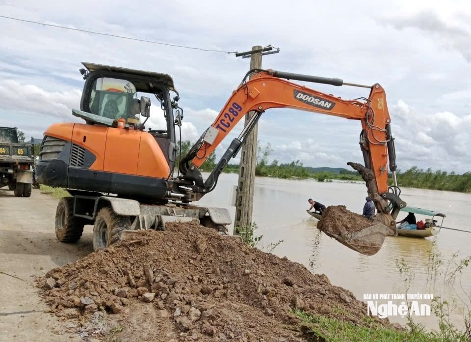 Tuyến đê ven sông Lam xã Đại Đồng phải xử lý tổ mối trong mùa mưa. Ảnh Văn Trường