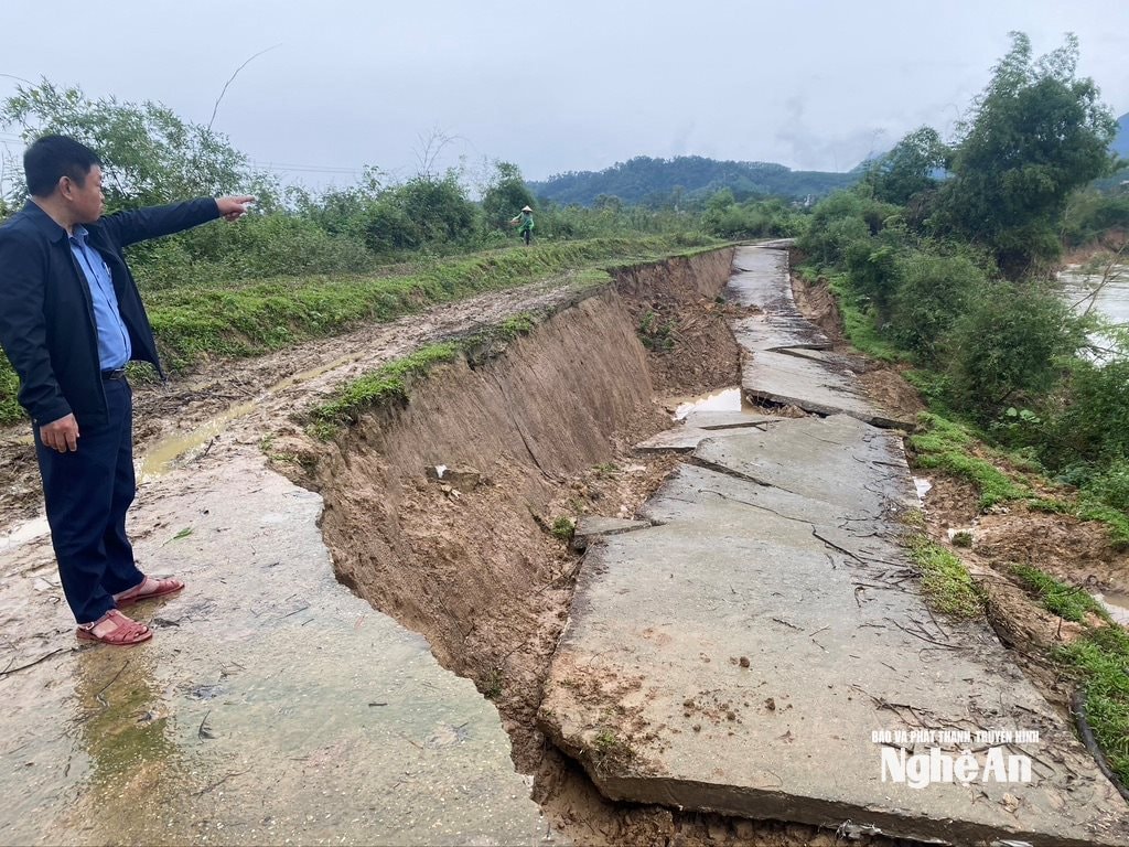 Tuyến đê xã Anh Sơn ven sông Lam bị sạt lở nghiêm trọng sau mưa bão. Ảnh: Văn Trường
