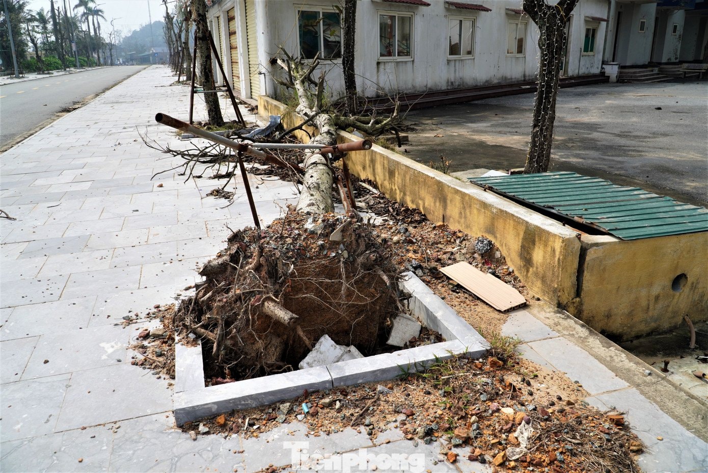 Bãi biển Thiên Cầm ngập rác - 3