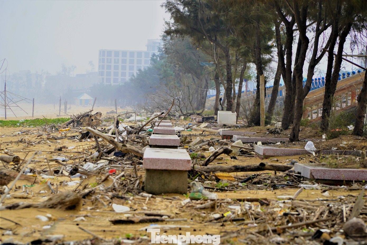 Bãi biển Thiên Cầm ngập rác - 4