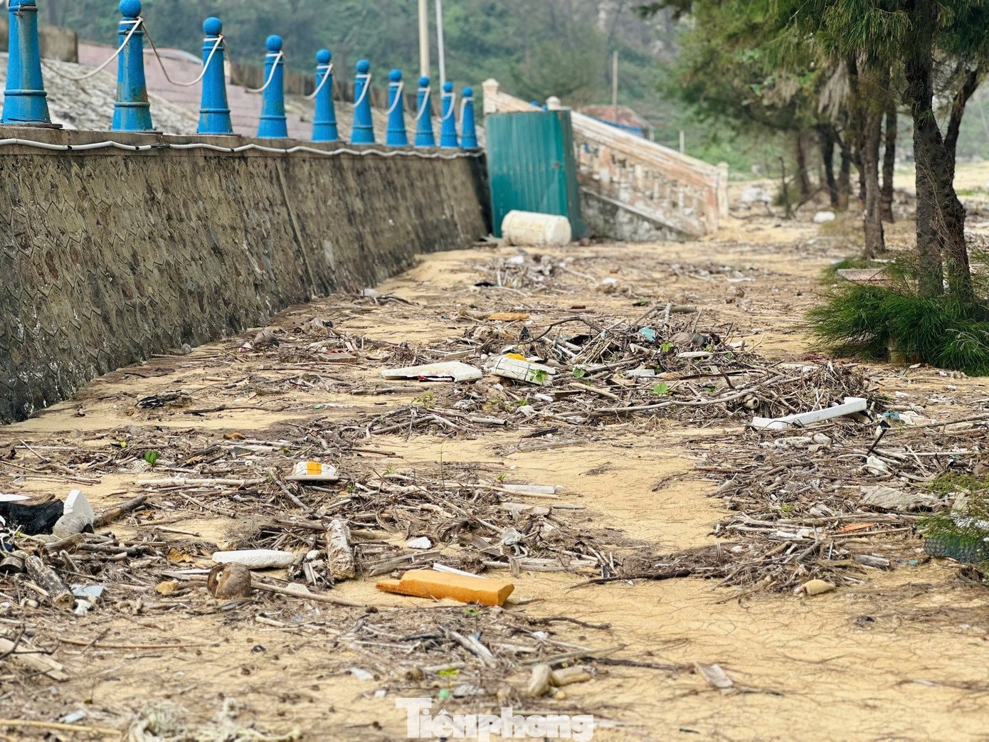 Bãi biển Thiên Cầm ngập rác - 5