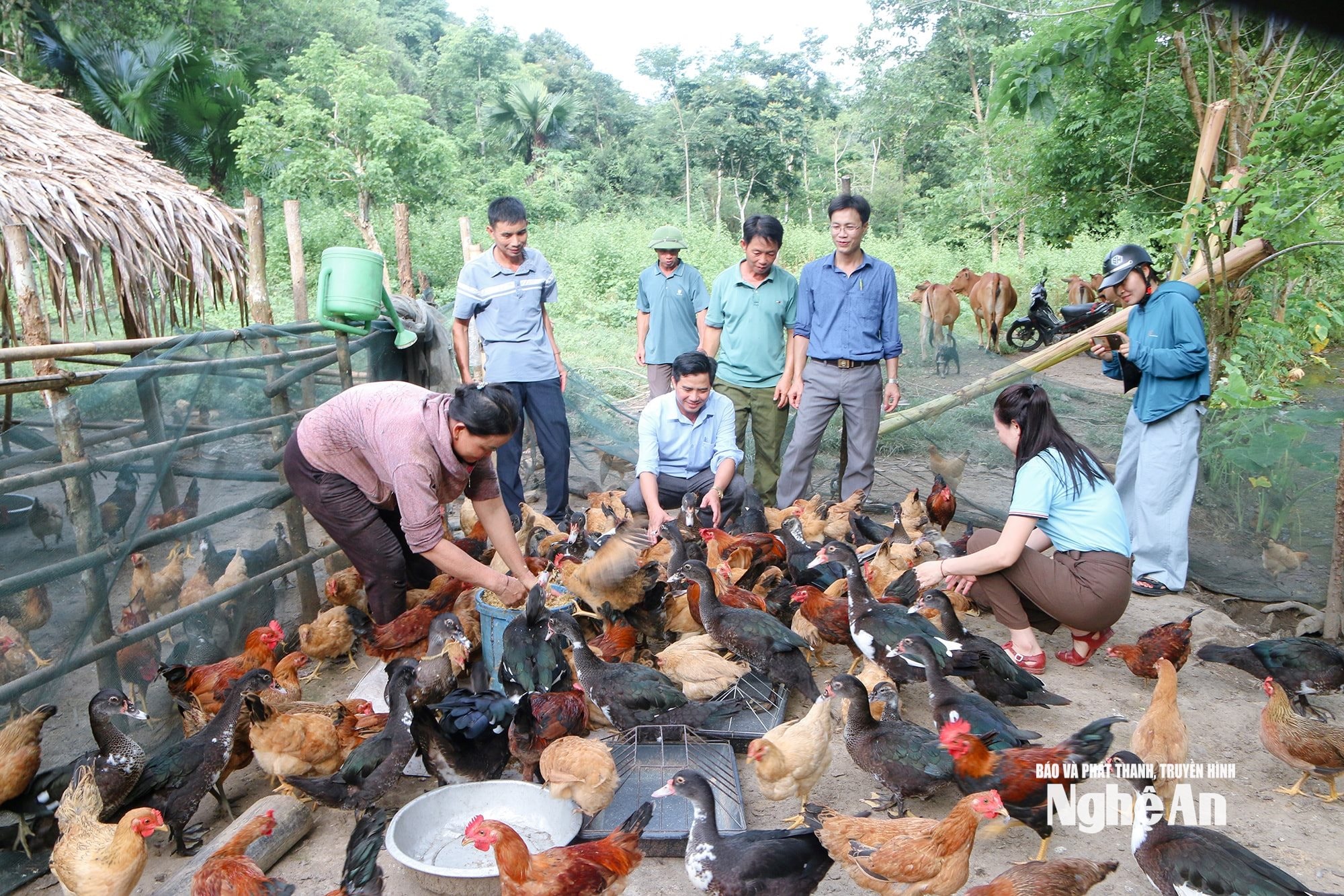 Cán bộ bản và cán bộ xã ở Tương Dương tham quan mô hình kinh tế hiệu quả để áp dụng, nhân rộng. Ảnh ĐT