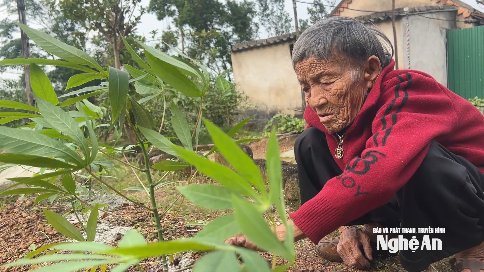 Herr Bay tar seg av den lille hagen sin.