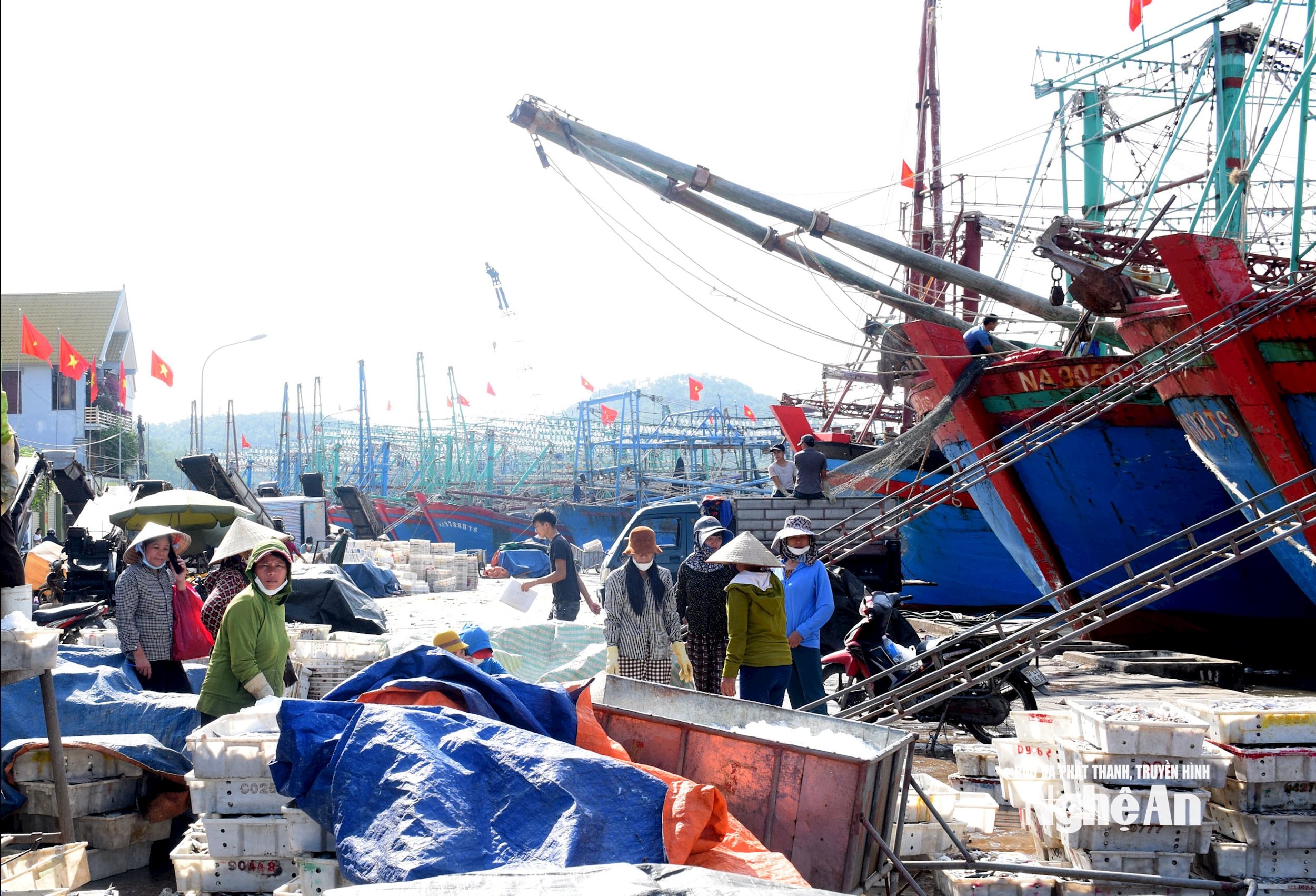 Nhộn nhịp cảng cá Lạch Quèn những ngày cuối năm. Ảnh Xuân Hoàng