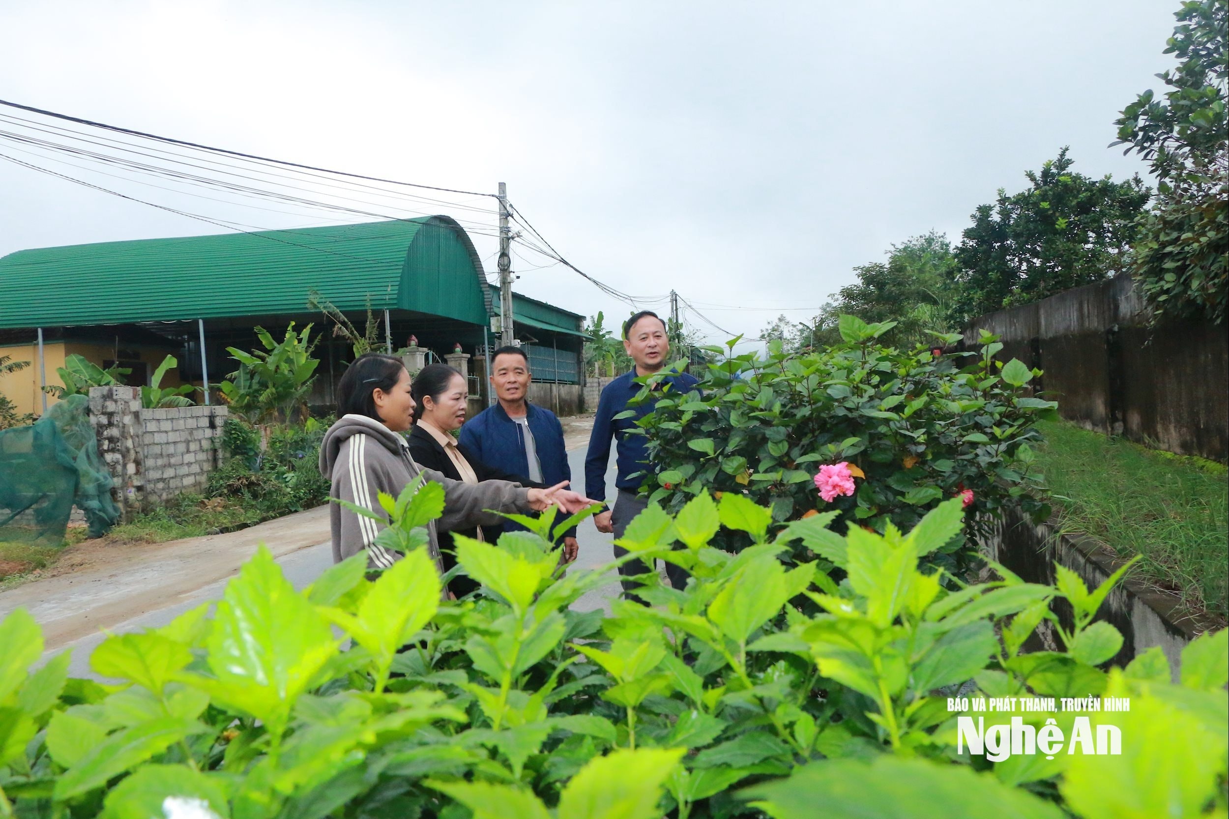 Cán bộ xóm 5 Nghi Văn trao đổi với lãnh đạo xã Văn Kiều về phong trào trồng cây, trồng hoa của nhân dân trong xóm. Ảnh GH