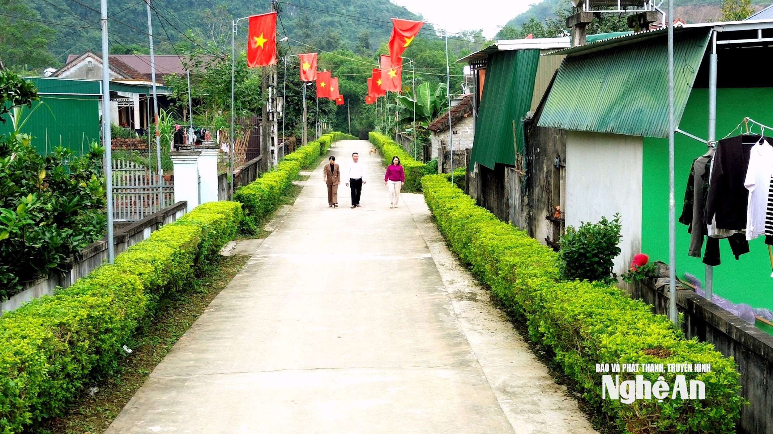 Đường viền cây xanh tạo không gian xanh - sạch - đẹp của xóm Tường Sơn 3. Ảnh: Xuân Hoàng