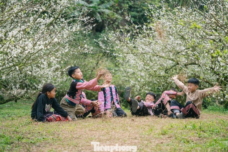 Hoa mận nở sớm, tinh khôi giữa tiết trời đầu đông ở Mộc Châu - 10