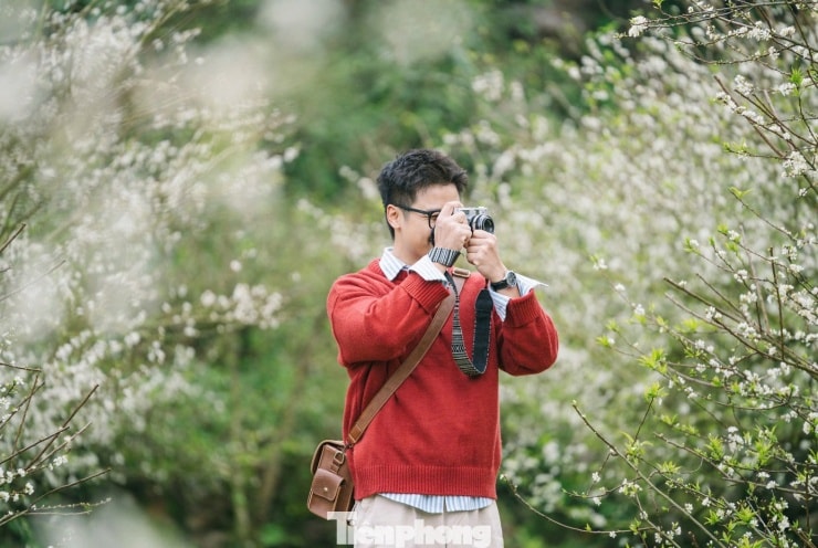 Hoa mận nở sớm, tinh khôi giữa tiết trời đầu đông ở Mộc Châu - 5