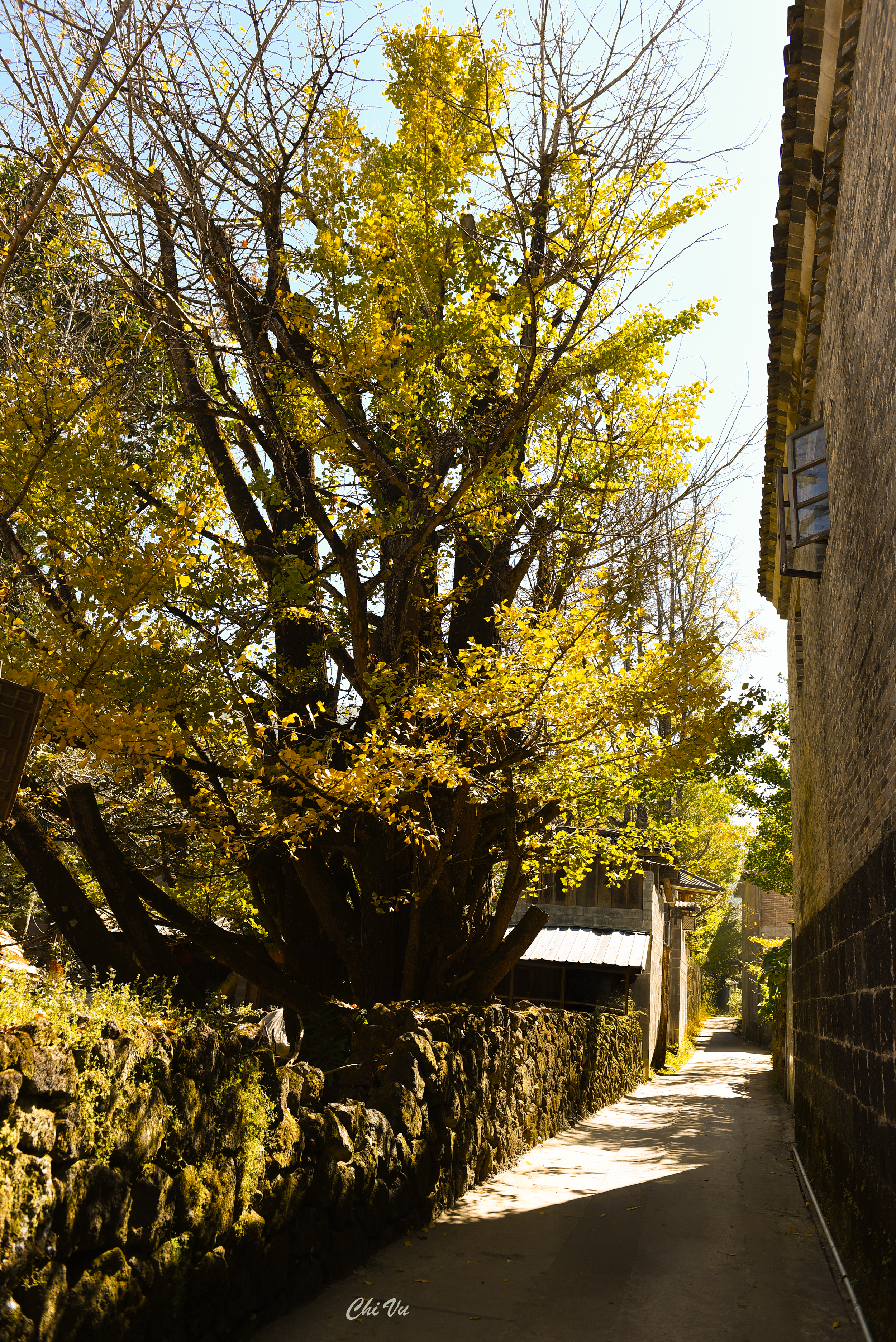 Công bố 100 tác giả nhận giải thưởng cuộc thi Mối duyên với Trung Quốc của tôi- Ảnh 2.