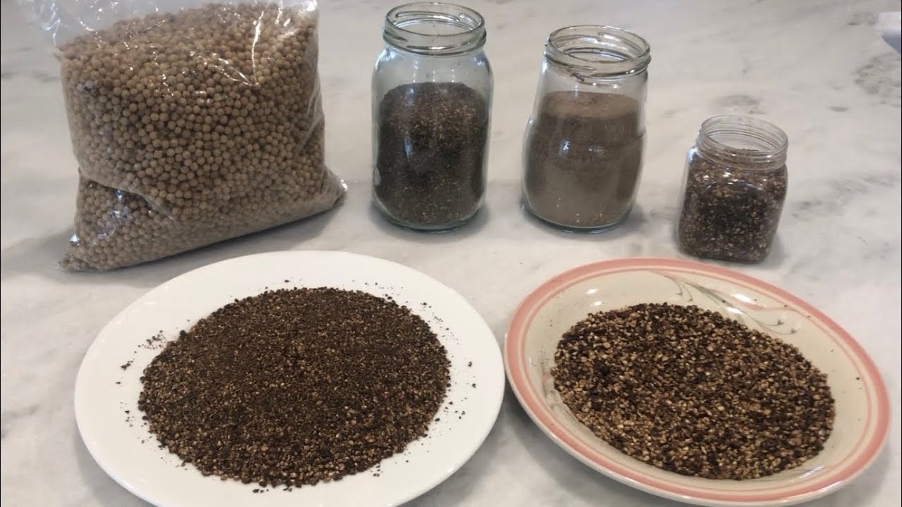 Harga lada hari ini, 13 Desember 2025: Terus meningkat.