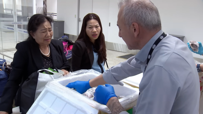 Hai khách Việt đem cua sống khi nhập cảnh Australia. Ảnh: Border Security