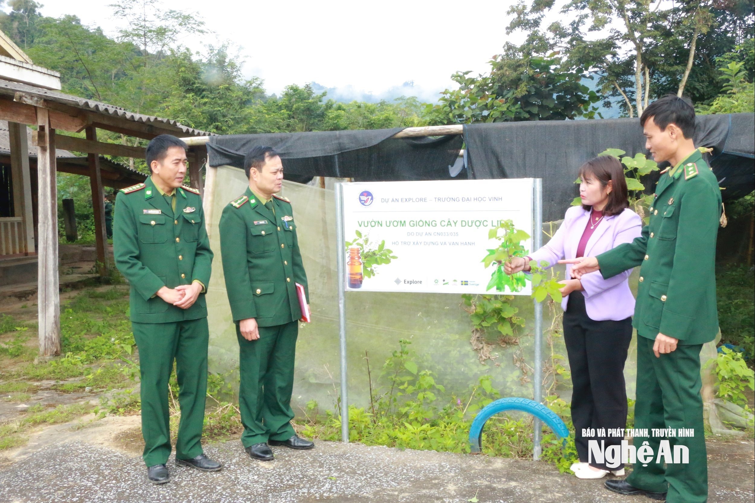 Bí thư Chi bộ bản Phồng Vi Thị Ánh trao đổi với cán bộ Đồn biên phòng Tam Hợp về ươm giống và nhân rộng mô hình trồng hương nhu. Ảnh KL