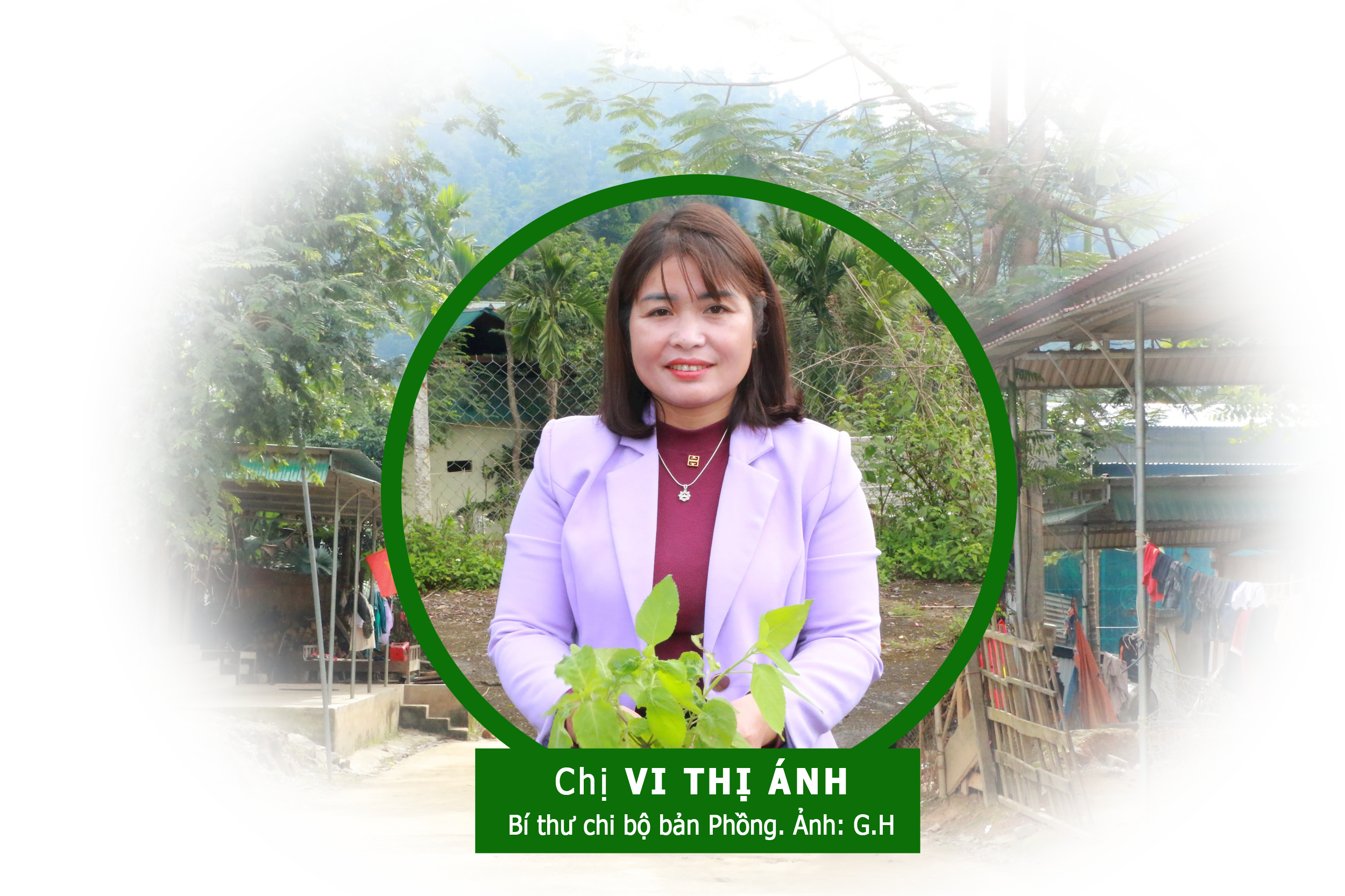 vithianh(1).png