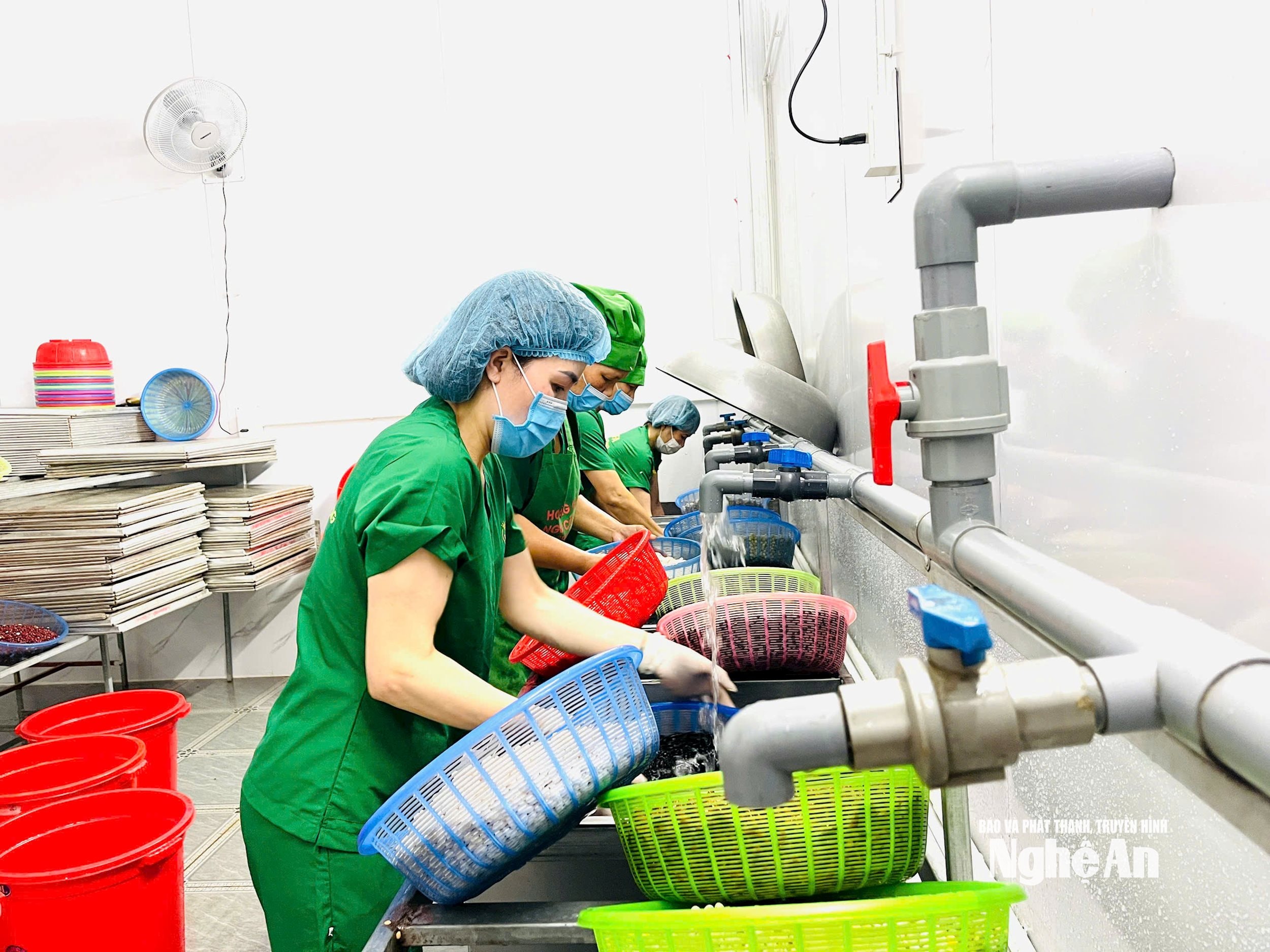 រូបថតផលិតដោយ Mamifilm