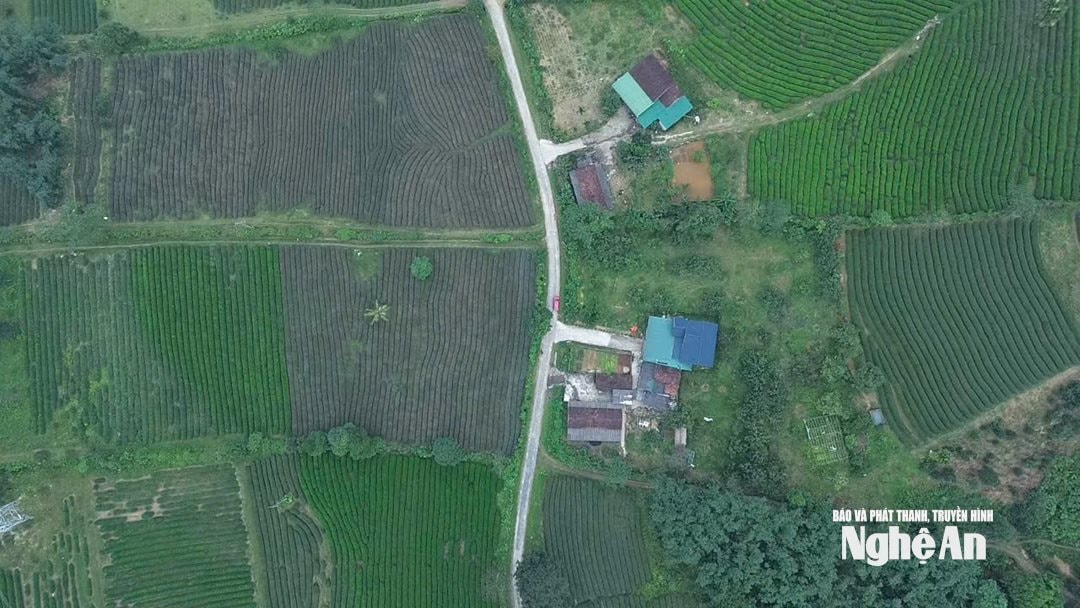 Nhiều ngôi nhà khang trang đã mọc lên giữa đồi chè. Ảnh Tiến Đông2