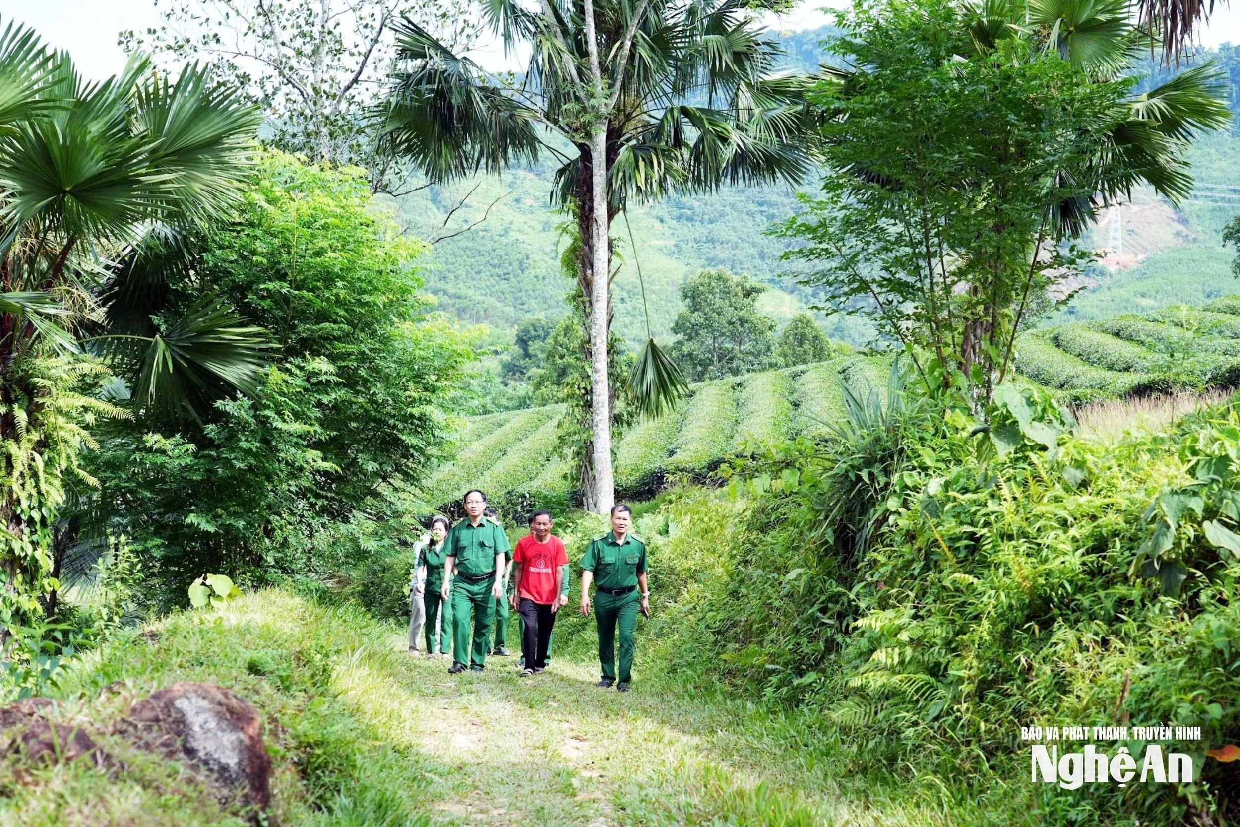 Địa bàn đứng chân của Tổng đội TNXP 5 là các xã Thanh Hà, Thanh Thuỷ thuộc huyện Thanh Chương (cũ), nay là xã Kim Bảng. Ảnh Tư liệu