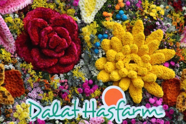 Sắc hoa rực rỡ tại Đà Lạt