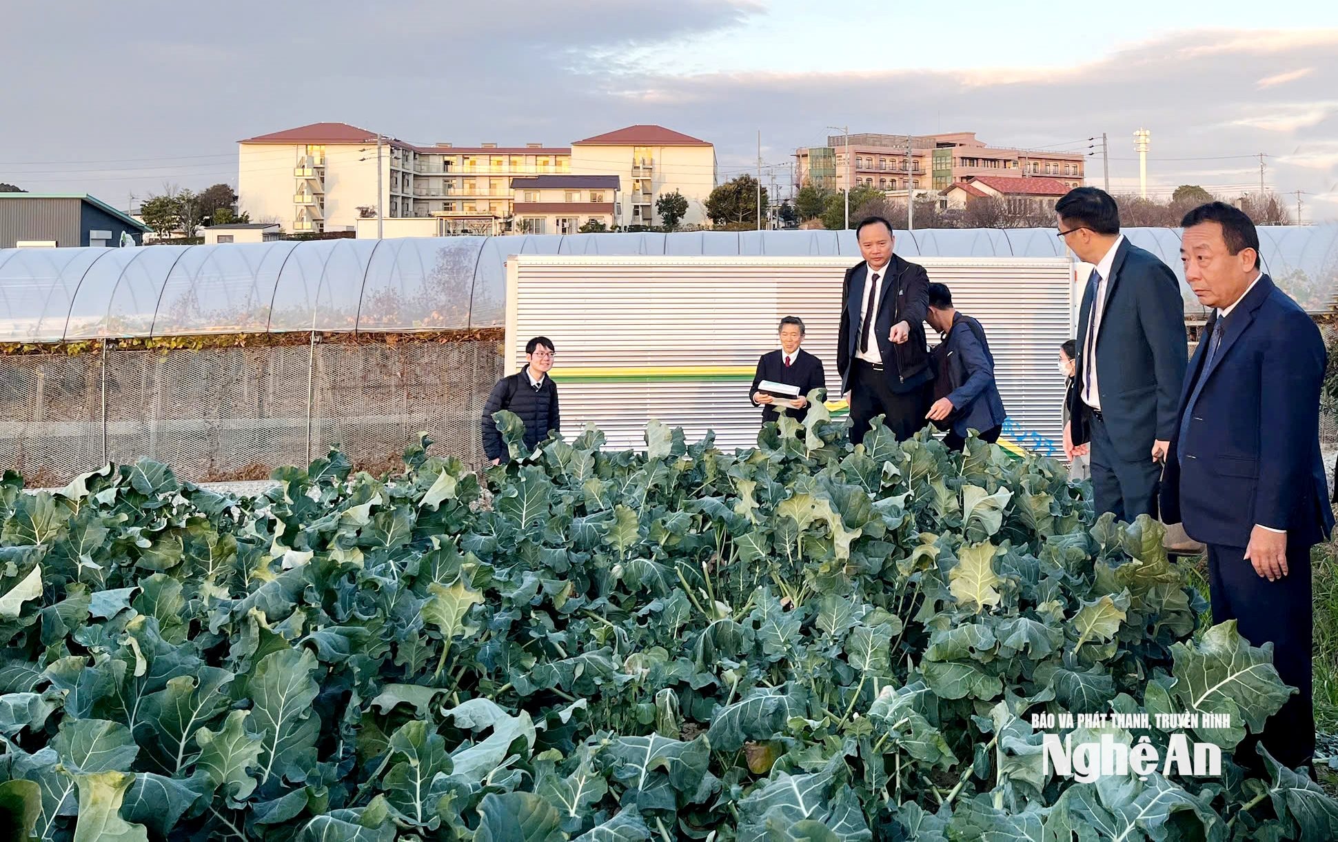 Ảnh PCT thăm thực địa sản xuất nông nghiệp tại Aichi