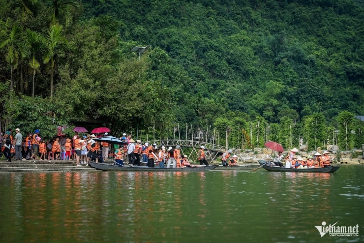 Khoảnh khắc đàn chim hoang dã bay về tổ ở Ninh Bình