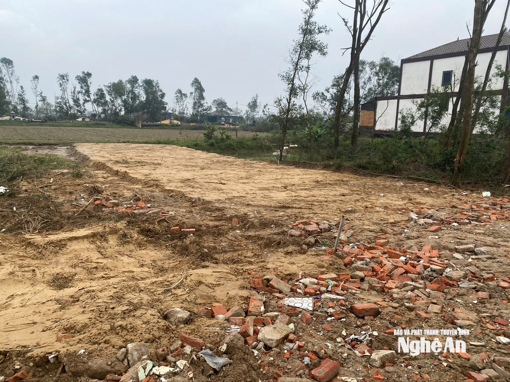 ম্যাটির স্কুল