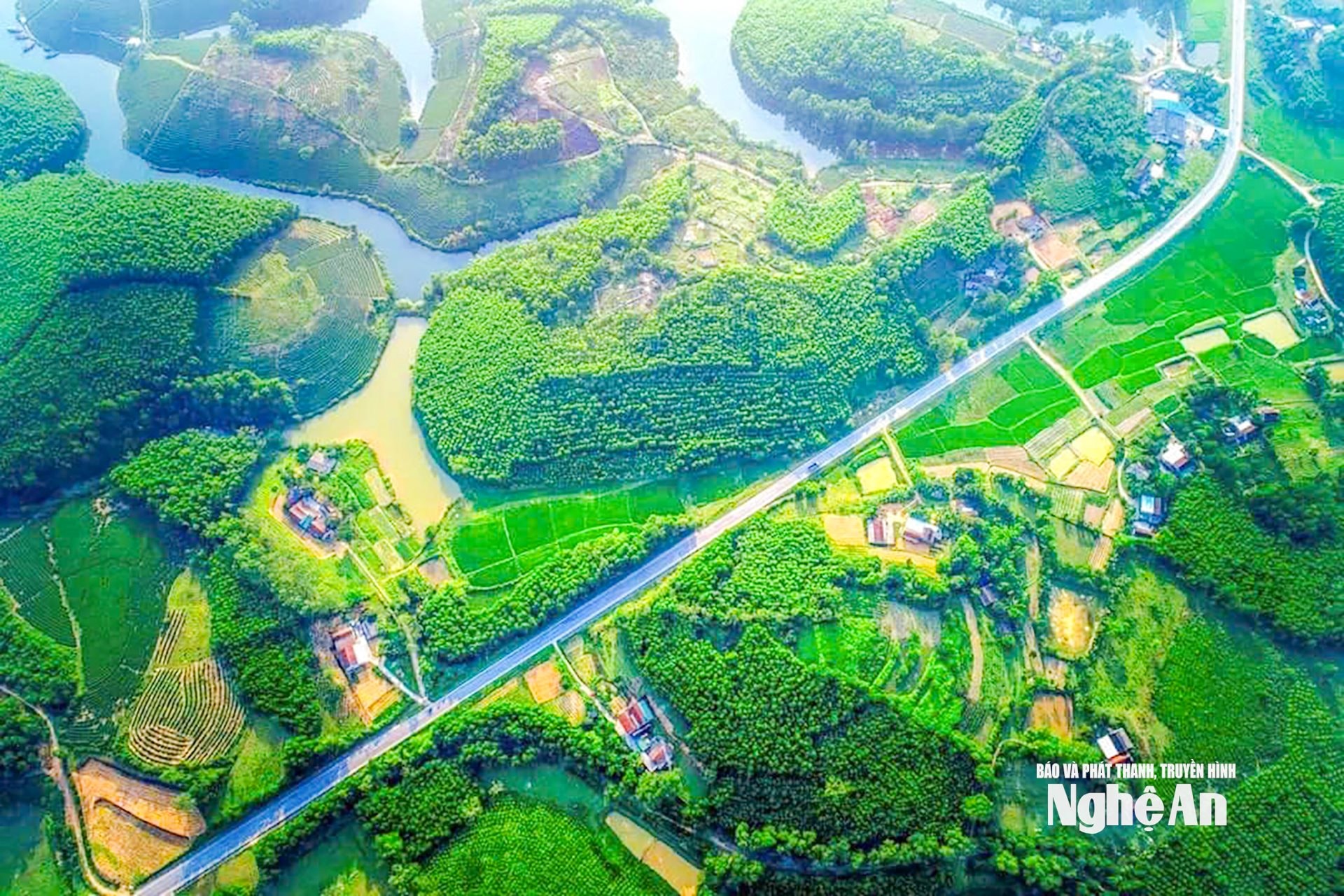 Vùng Đảo Chè Cầu Cau nằm kề đường mòn Hồ Chí Minh. Ảnh UBND xã Hoa Quân