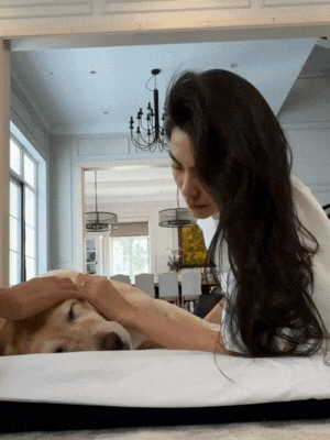 Tăng Thanh Hà bật khóc bên cạnh cún cưng Molly.