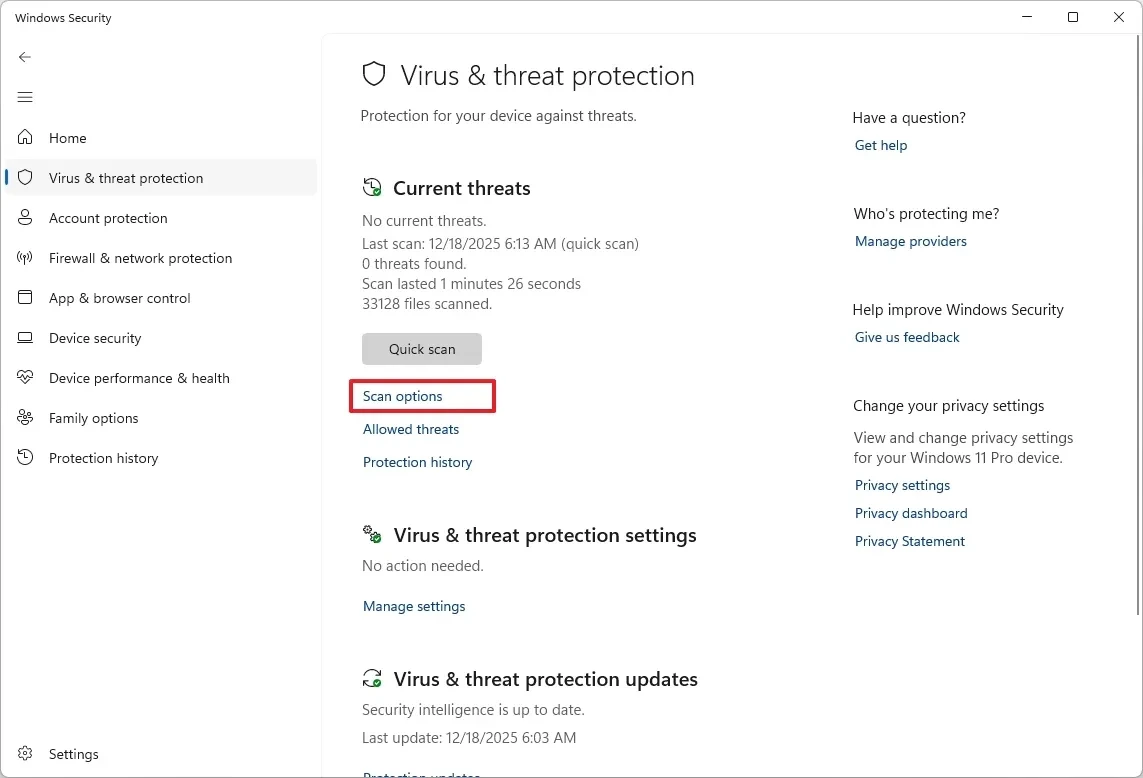 Các tùy chọn quét trong Windows Security.