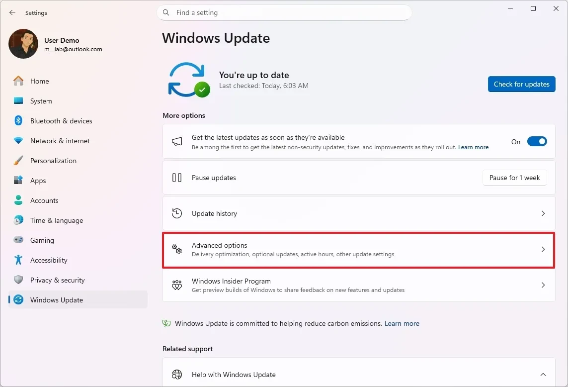 Trang tùy chọn nâng cao trong Windows Update.