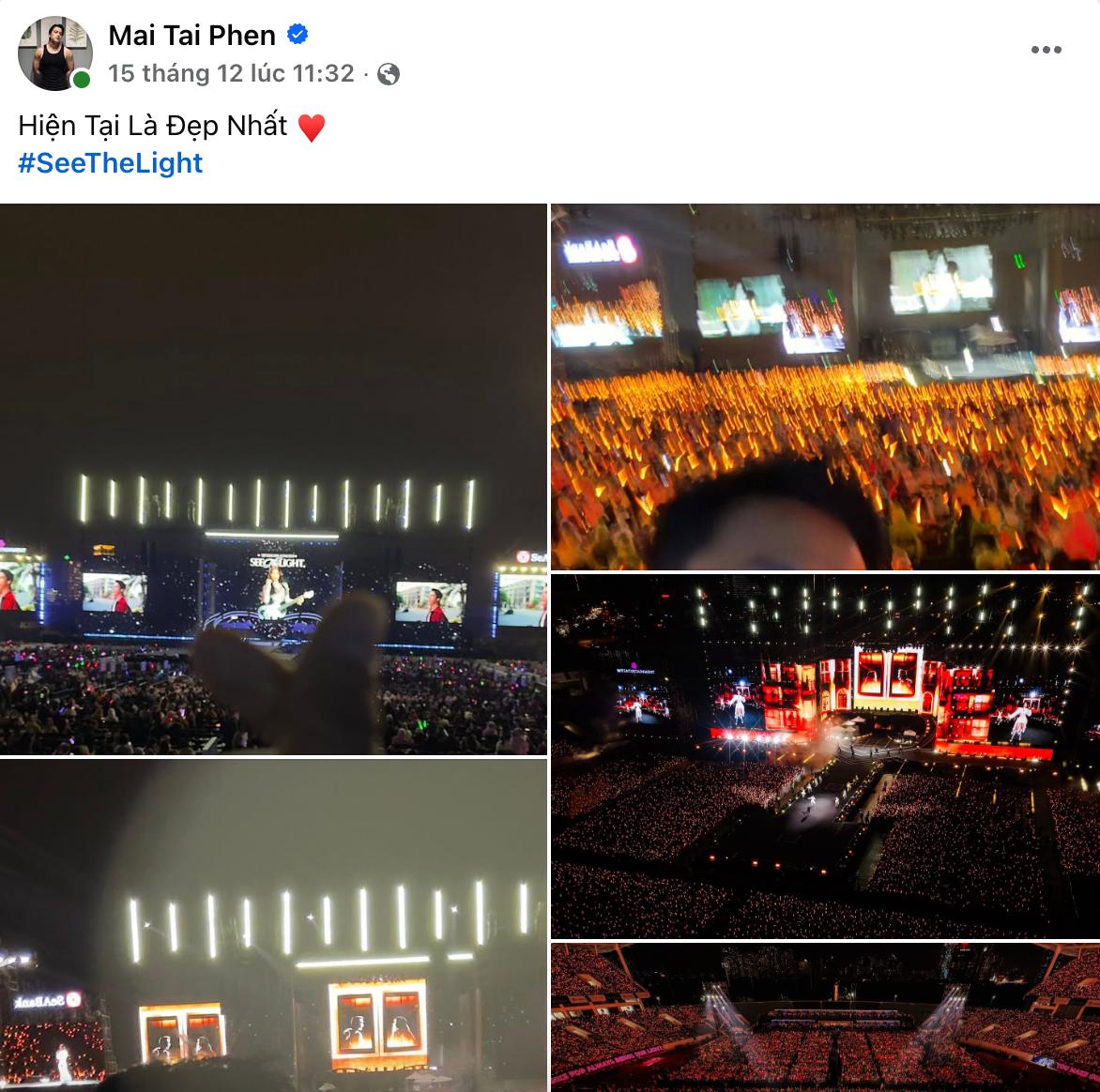 Mai Tài Phến thường xuyên có những động thái thể hiện tình cảm với Mỹ Tâm