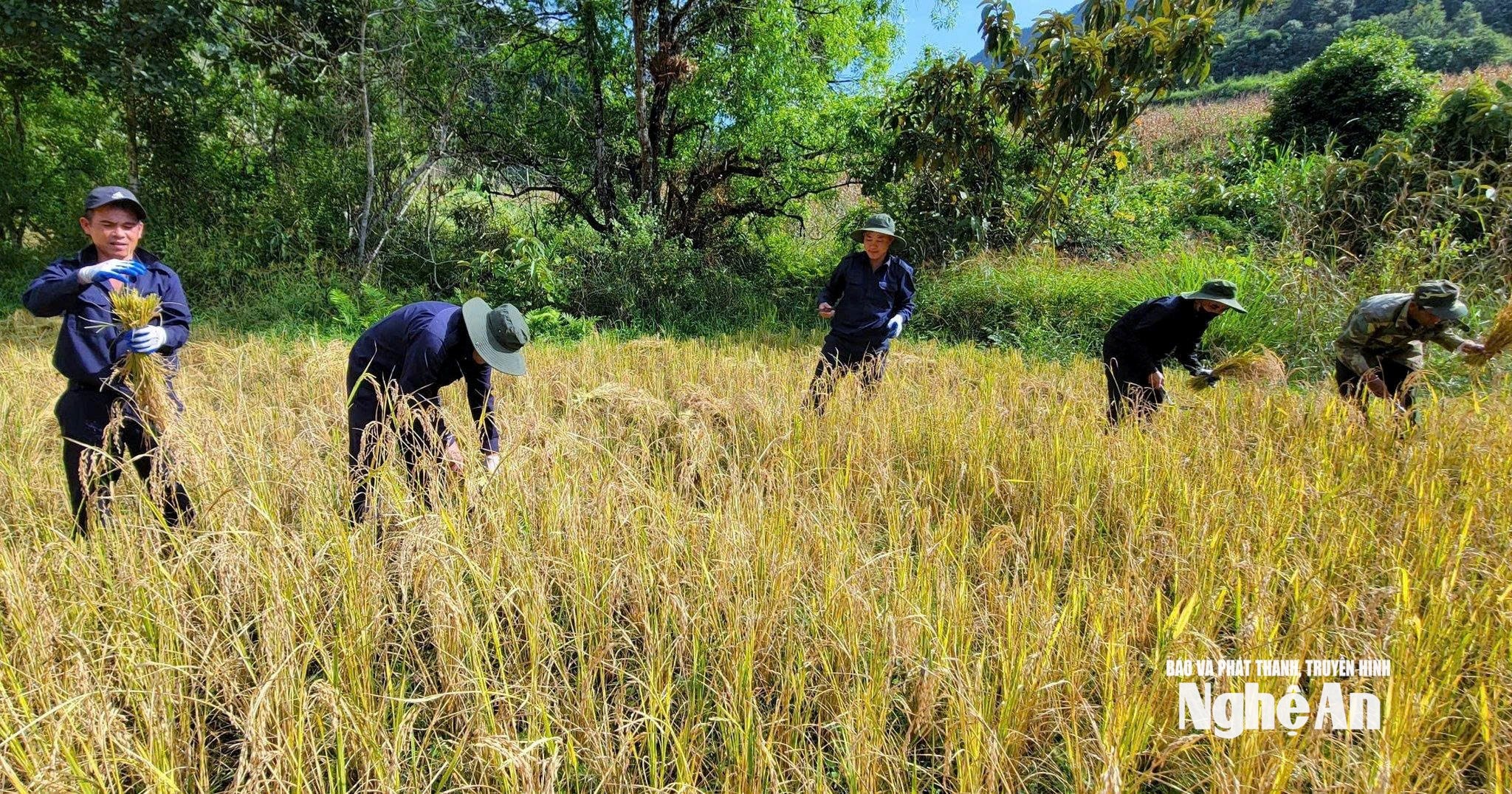 lực lượng vũ trang Ảnh Trọng Kiên 00013